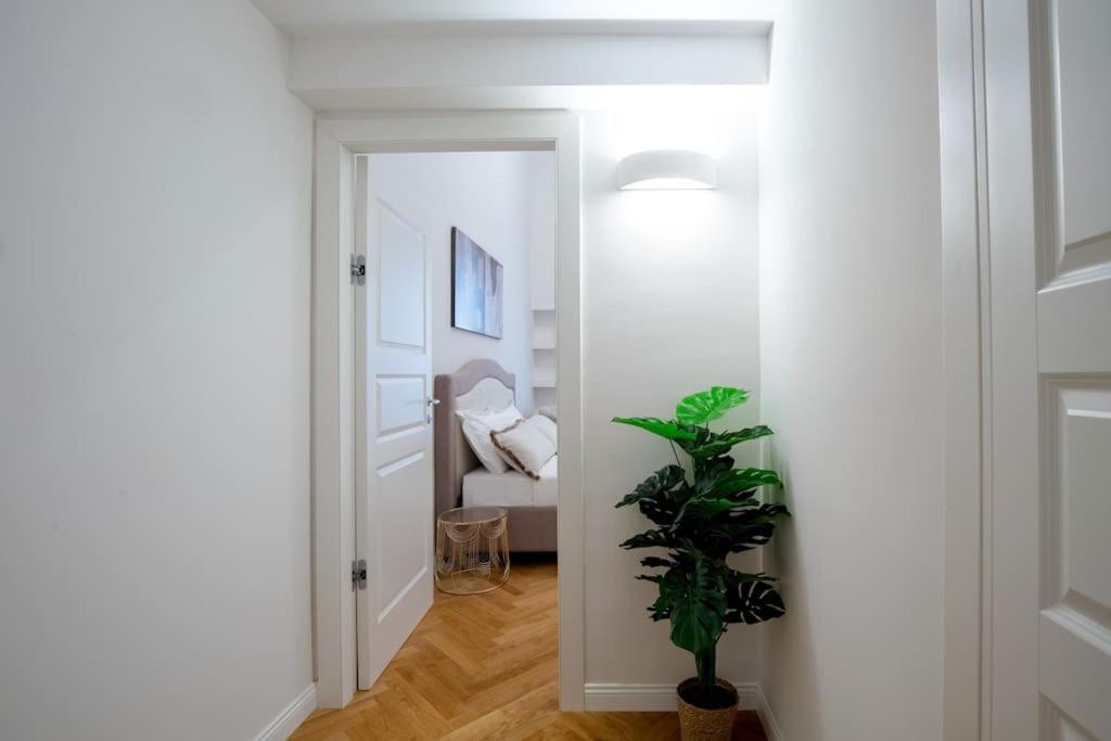 Dimora Nuvola Apartament Florencja Zewnętrze zdjęcie